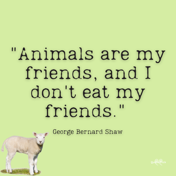 Animals are friends