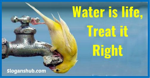 Treat water right