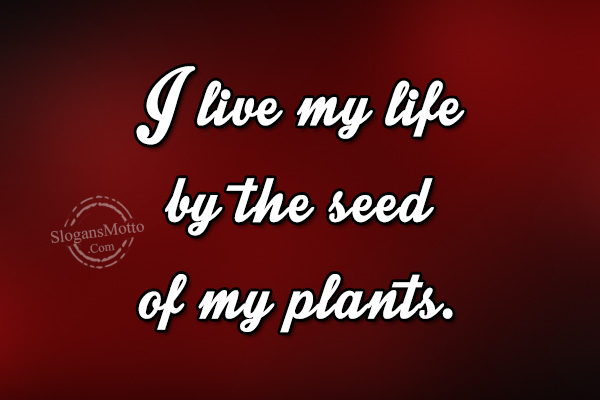 I Live My Life By The Seed