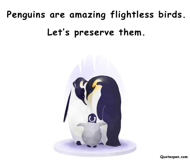 Penguin Awareness Day Quotes