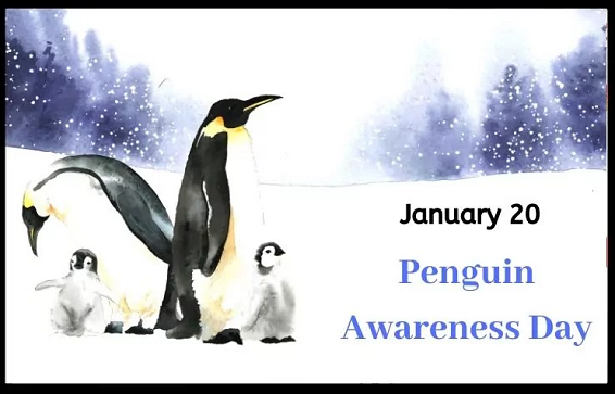 Penguin Awareness Day Images Pictures Status Photo