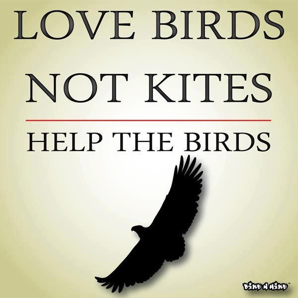 Help Birds