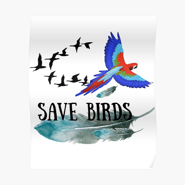 Save Birds 1