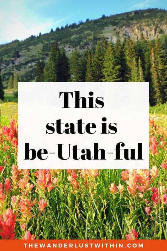 Best Slogans On Utah5