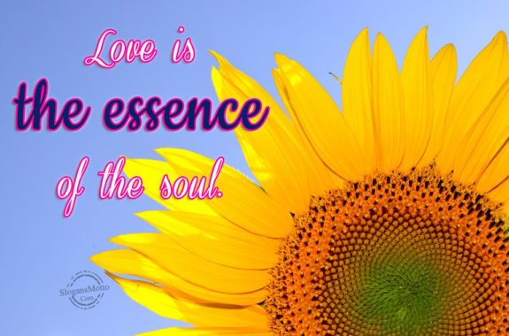 Love Is The Essence Of The Soul 575x380