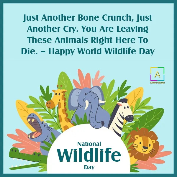 National Wildlife Day Pictures Aos