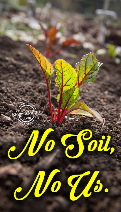No Soil No Us