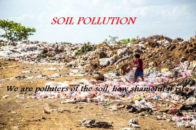 Soil Pollution1 1