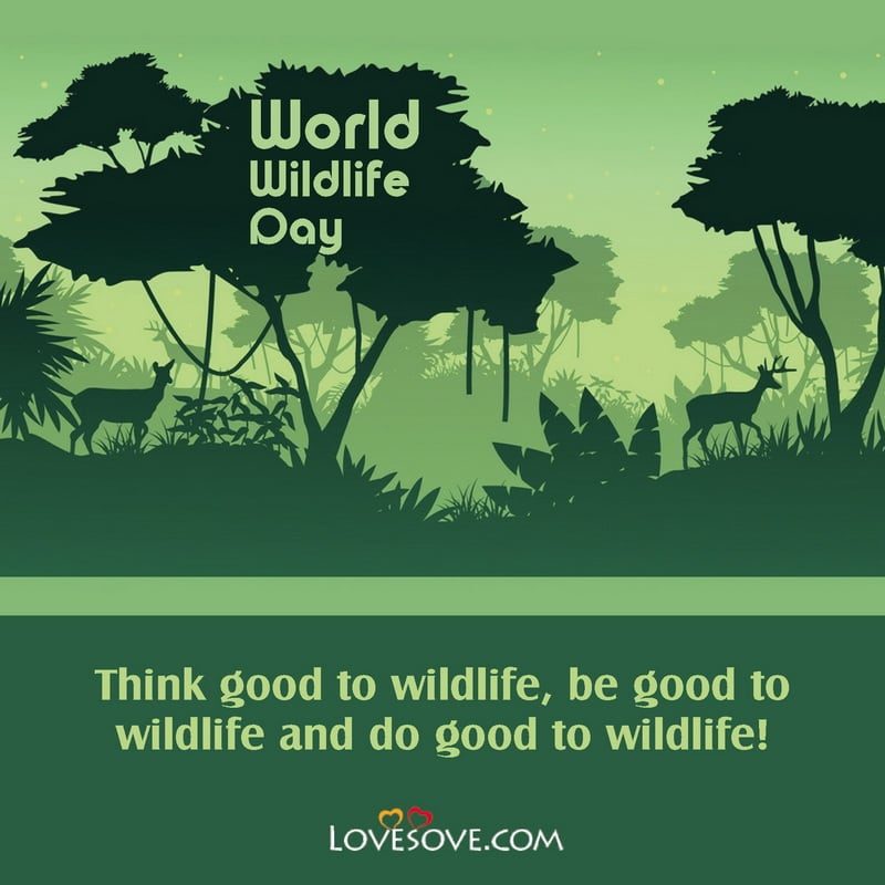 World Wildlife Day3