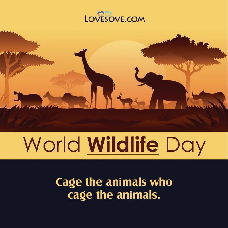 World Wildlife Day5