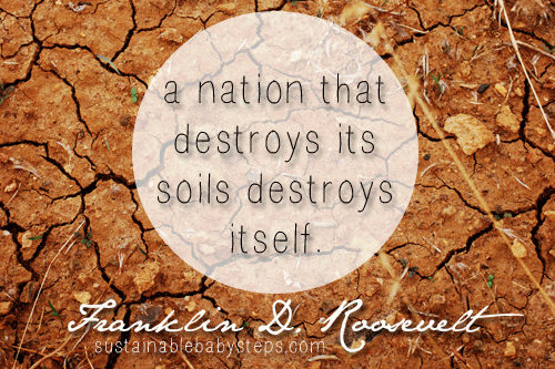 Land Soil Pollution Slogans5