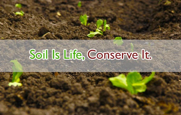 Slogan On Importance Of Soil