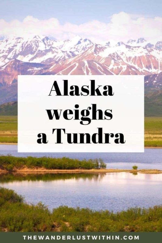 Slogans On Alaska2