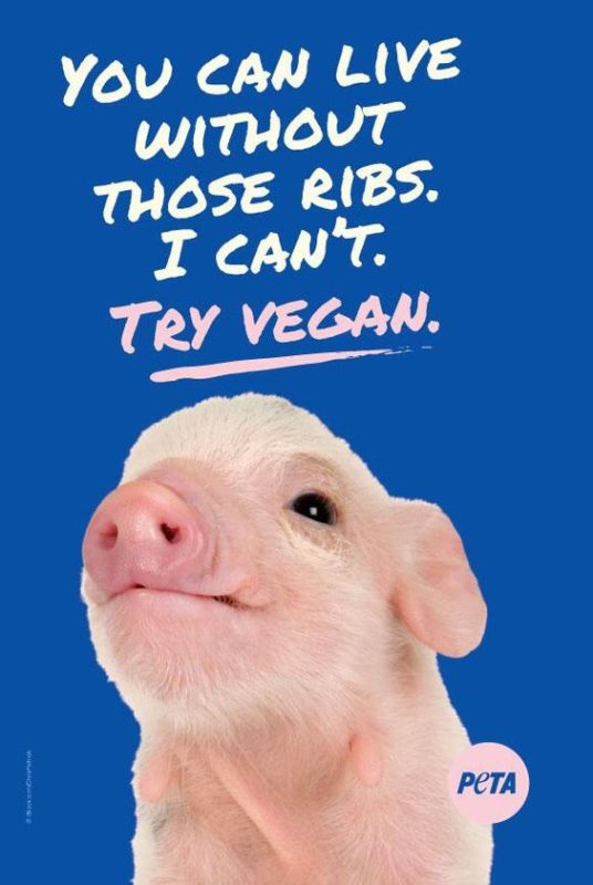 Slogans On Being Vegan2