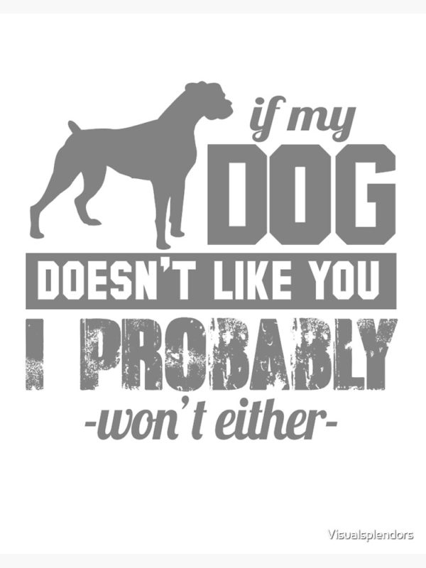 Slogans On Dog5