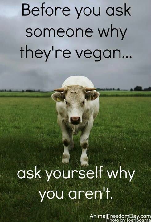 Slogans On Veganism4