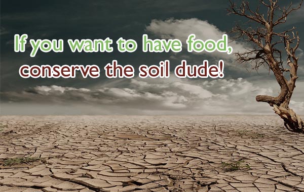 Soil Conservation Quotes