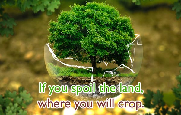 Soil Slogans In English