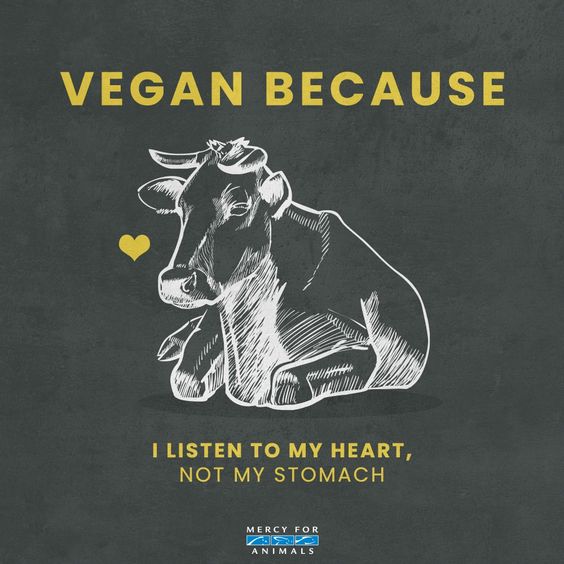 Vegan Slogans2