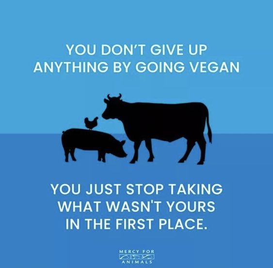 Vegan Slogans4