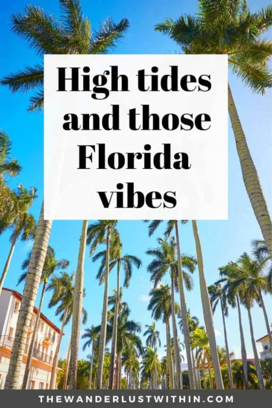 Best Slogans On Florida3