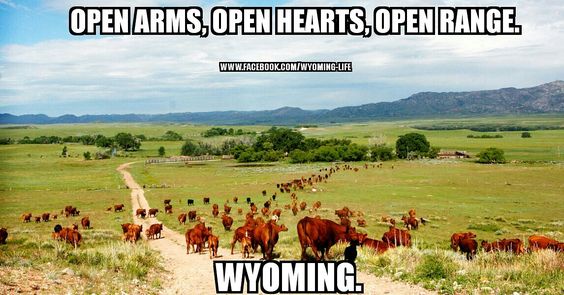 Best Slogans On Wyoming1