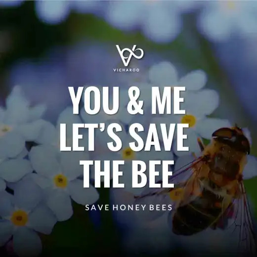 Save Honey Bees World Bee Day Slogans 5