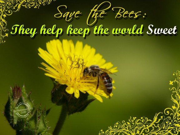 Save The Bees They Help Keep The World Sweet. 575x431