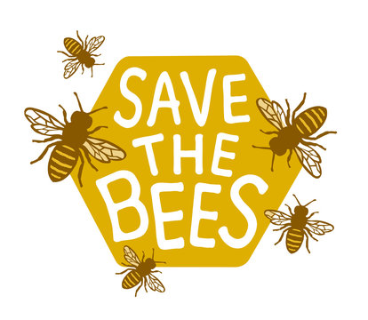 Slogans On Bee5
