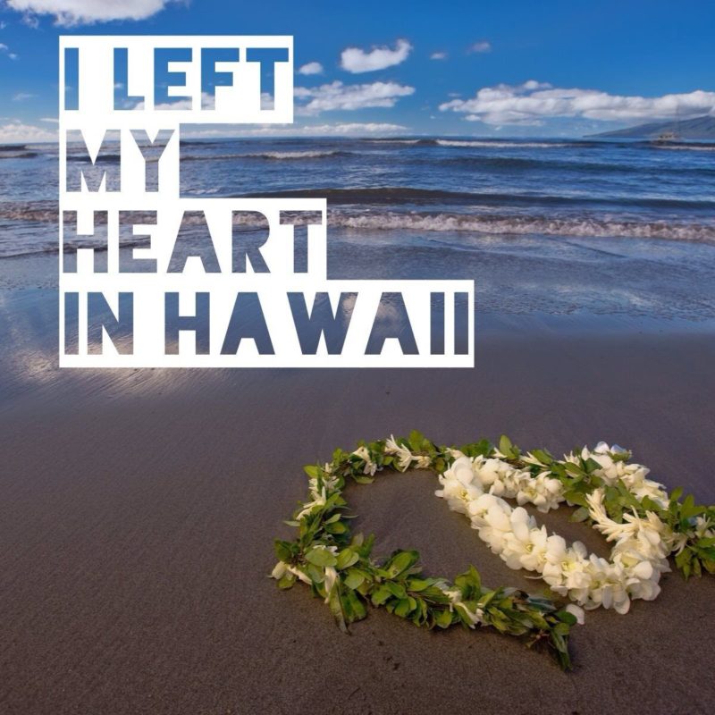Slogans On Hawaii1