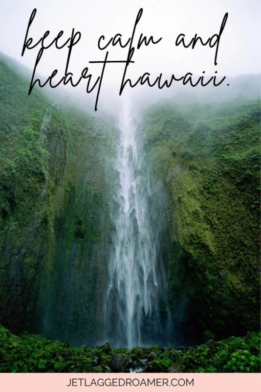 Slogans On Hawaii5