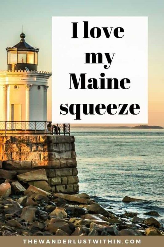 Slogans On Maine6