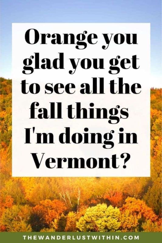 Slogans On Vermont5